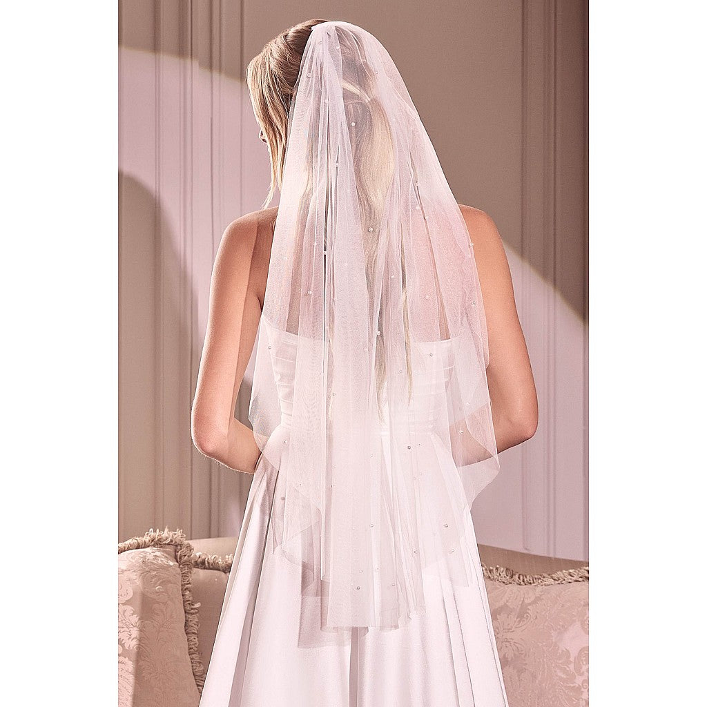 Pearl Finder Veil