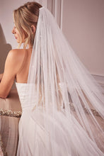 Load image into Gallery viewer, Pearl Drops Veil
