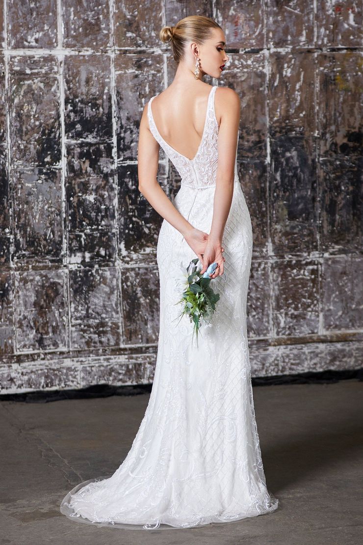 V Neck Wedding Dress