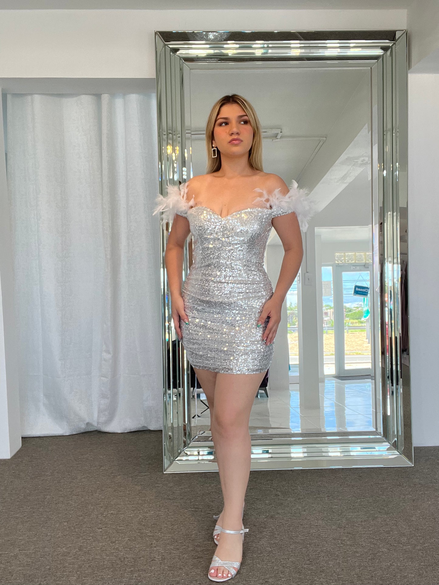 Feather Silver Dress