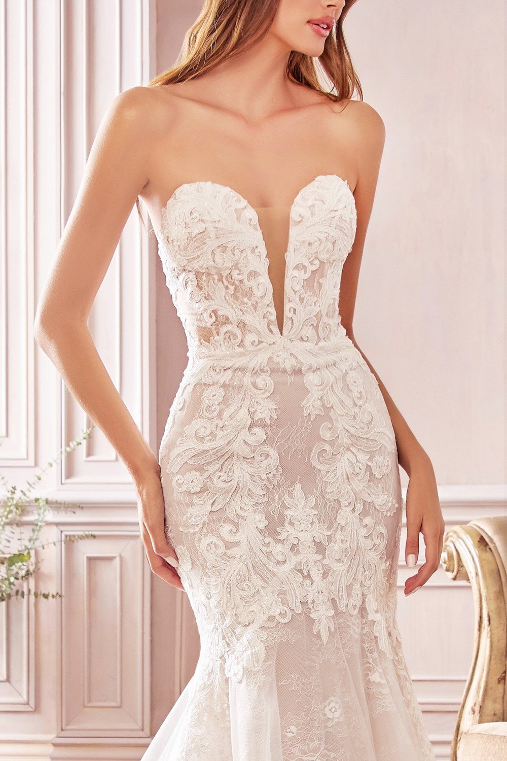 Cinderella Bride