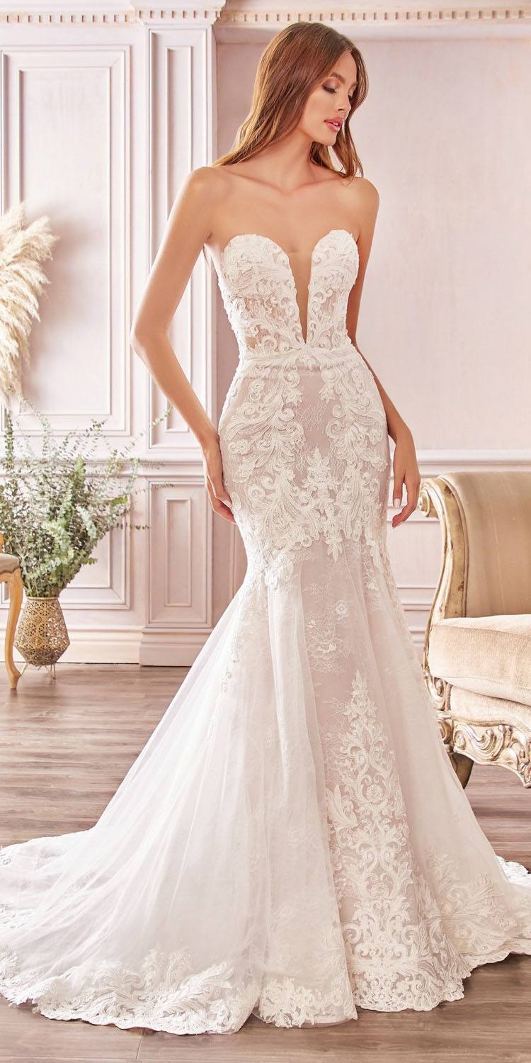 Cinderella Bride