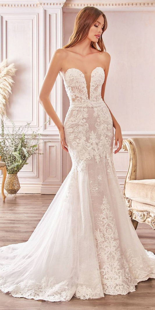 Cinderella Bride